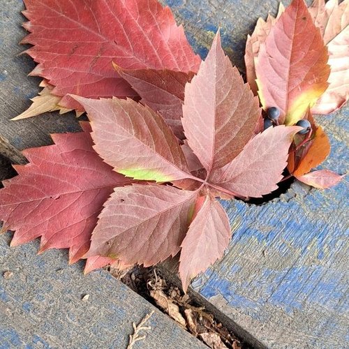 Марина, 27 октября 2025