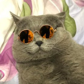 Надежда, 4 декабря 2025