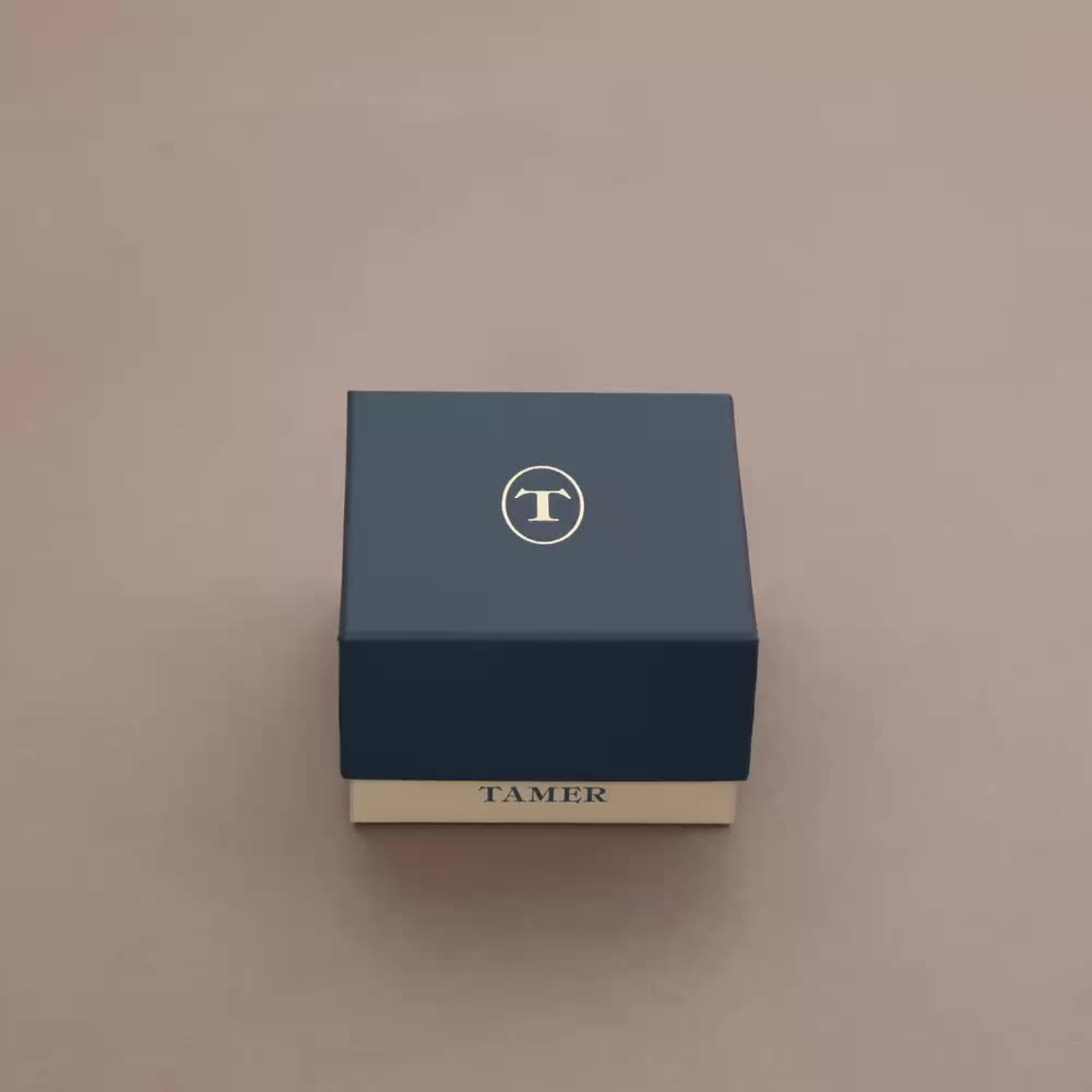 Часы мужские TAMER TAMER TS3-41-3-AYX-B3-SSS: металл — купить в